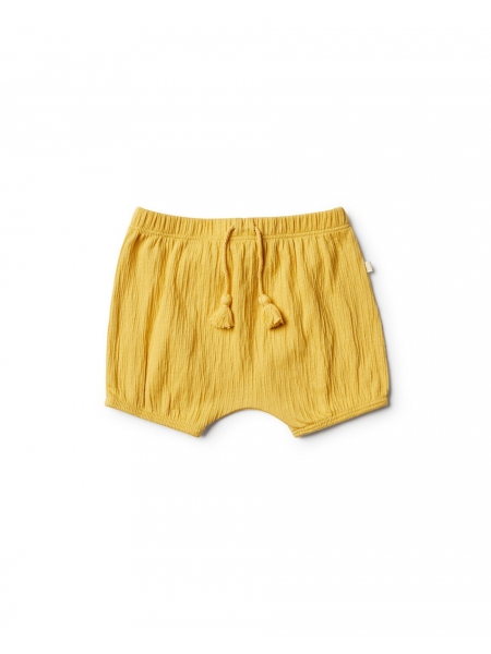 JOJOBA CRINKLE SHORTS BY WILSON AND FRENCHY